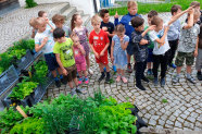 Kinder stehen in einer Reihe vor Gemüsekisten im Garten
