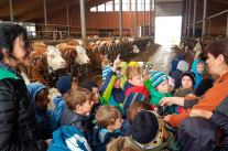 Viele Kinder stehen vor der Bäuerin im Kreis. Ein Junge hebt den Finger, um sich zu melden.