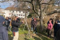 Personen stehen um Baum auf einer Grünfläche