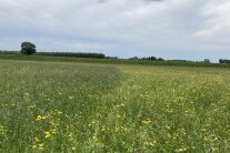 Zwei Frauen und zwei Männer stehen hinter einem Traktor mit Pflanzenschutzspritze