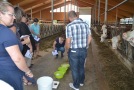 Teilnehmer im Stall