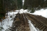 Wegezustand Nach Sturm Kolle