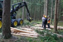 Vollernter, der gleichzeitig entrindet.