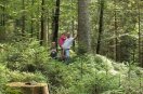 Familie im Wald