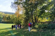 Mehrere Menschen gehen an einer Hecke entlang