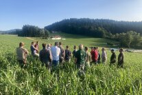 Teilnehmer einer Versuchsführung stehen in einem Maisfeld.