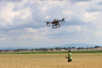 Ein Mann steuert in einem Getreidefeld eine Drohne in der Luft.