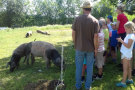 Kinder stehen mit dem Bauer vor einer Schweineweide mit Weiher